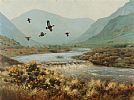 GROUSE IN THE MOURNES by Julian Friers RUA at Ross's Online Art Auctions