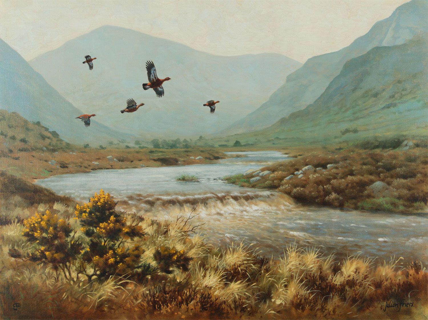GROUSE IN THE MOURNES by Julian Friers RUA at Ross's Online Art Auctions