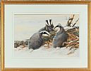 BADGERS IN THE SNOW by Neil Cox at Ross's Online Art Auctions