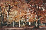 HORSEMAN IN AN AUTUMN WOOD by Jack Cudworth at Ross's Online Art Auctions