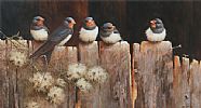 SWALLOWS READY TO LEAVE by Neil Cox at Ross's Online Art Auctions
