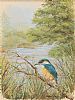 KINGFISHER by Barbara McIntyre at Ross's Online Art Auctions