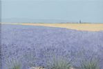 LAVENDER FIELDS by Jeanne Cobain at Ross's Online Art Auctions