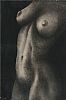 FEMALE TORSO by Audrey Smyth at Ross's Online Art Auctions