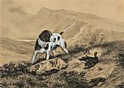 GUNDOG IN THE HIGHLANDS by English School at Ross's Online Art Auctions