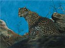SEATED LEOPARD by English School at Ross's Online Art Auctions