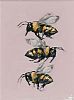 THE THREE BEES by Vivek Mandalia at Ross's Online Art Auctions