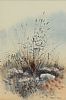 BULRUSH by Martin D. Cooke at Ross's Online Art Auctions