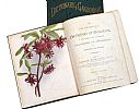 TWO VOLUMES OF DICTIONARY OF GARDENING at Ross's Online Art Auctions
