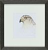 PEREGRINE FALCON by Con Campbell at Ross's Online Art Auctions