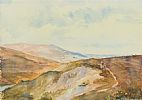 CARLINGFORD MOUNTAINS ABOVE OMEATH, COUNTY LOUTH by Peter McIlwain at Ross's Online Art Auctions