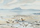 GEESE AT STRANGFORD LOUGH by Coralie Kinaghan at Ross's Online Art Auctions