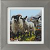 SPRING LAMBS by Keith Glasgow at Ross's Online Art Auctions